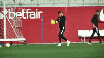 futbol team GIF by Sevilla Fútbol Club