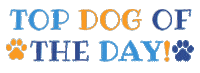 Best Friends Dog Sticker by Wags & Wiggle OC