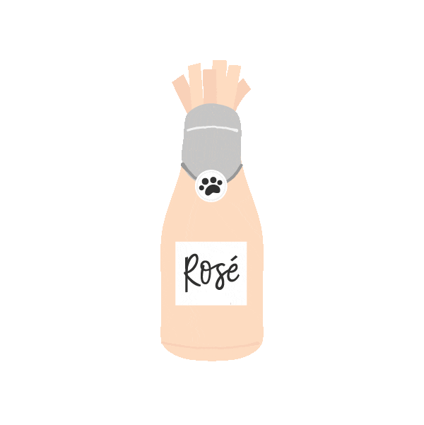 Transparency Cat Toys Sticker by ZippyPaws