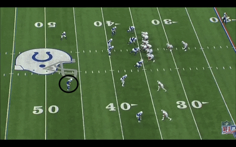 zachhicks giphygifmaker GIF