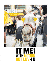 valentines day valentine GIF by UCF