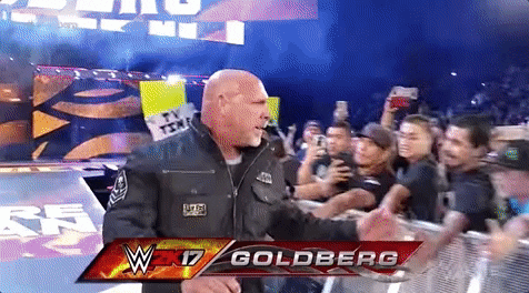 bill goldberg wrestling GIF by WWE