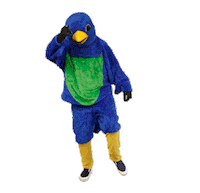 Angrybird Sticker by Snowbird