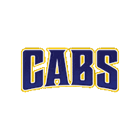 Caballeros Cabs Sticker by Flowing Wells