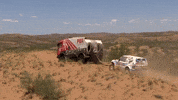 Palibex truck rally dakar pale GIF