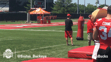 Ohio State Sport GIF by Ohio State Athletics