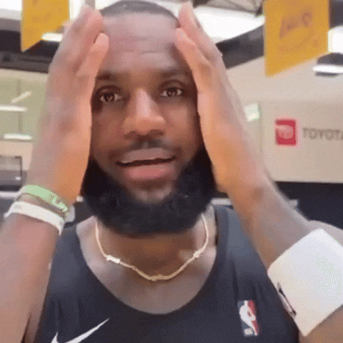 Lebron James GIF by Respective