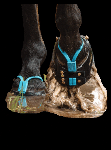 Scootbootsdownunder giphygifmaker horse boots equine GIF