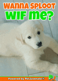 Dog Talk GIF by PetJuvenate - PJ