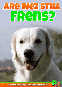 Dog Talk GIF by PetJuvenate - PJ