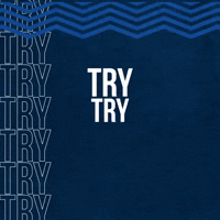 LOUIS SCHREUDER euro try