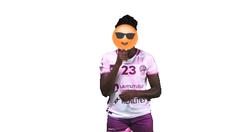 NAHB_officiel giphyupload handball nantes lbe Sticker