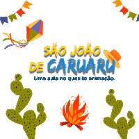 Sao Joao Unifavip Sticker by Wyden Educacional