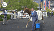 Royal Ascot Whr GIF by World Horse Racing