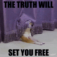 Best Wishes Good Luck GIF by PEEKASSO