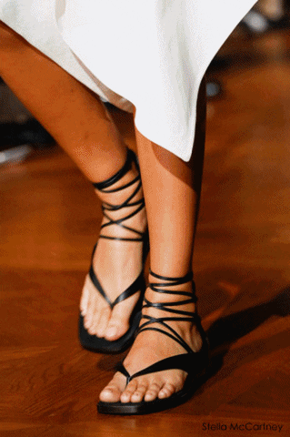 spring gladiator GIF