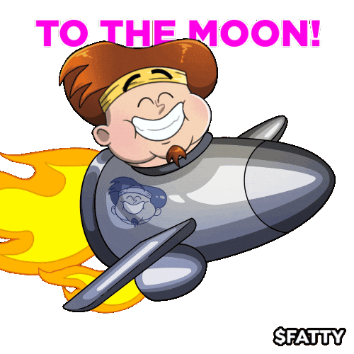 Crypto Wow Sticker by fatbot