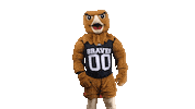 Mascot Pembroke Sticker by UNCP Braves Athletics
