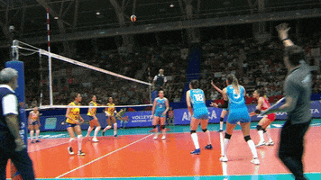 Coach Score GIF by Volleyball World