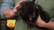 rachaelrayshow funny cute gif baby GIF