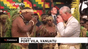 King Charles GIF by euronews