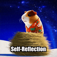 Wisdom Reflection GIF by Guinea Gambino