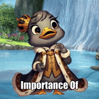Wisdom Reflection GIF by sirduckbeth