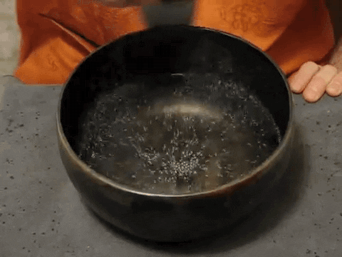 water bowl GIF