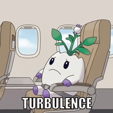 Airplane Flying GIF by Magic Eden