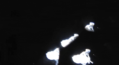 GIF by Gisela Guzmán