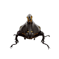 Insect Sticker by Database數據