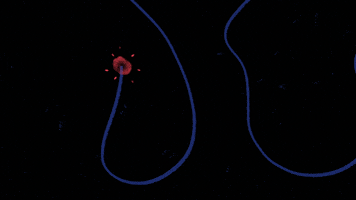 classical music animation GIF by Pierre-Julien Fieux