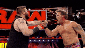 wrestling GIF by WWE