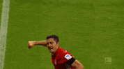 happy robert lewandowski GIF by FC Bayern Munich