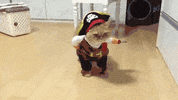 boots puss GIF