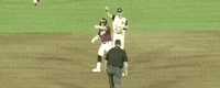 World Series Baseball GIF by NCAA Championships