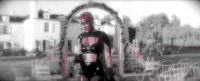 pink pink p!nk blow me (one last kiss) GIF