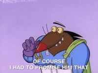 nickrewind nicksplat angry beavers GIF