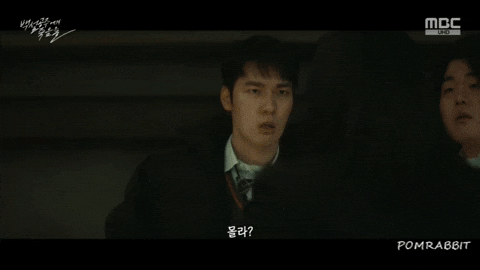 pomrabbit giphyアップロードGIF