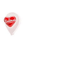 Salinasec Sticker by Alcaldía Salinas