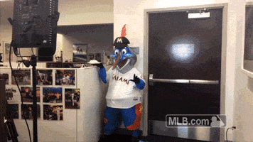 mia mascot GIF by MLB