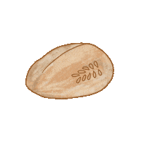 Bread Sourdough Sticker by mindandbeauty
