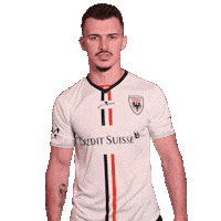 Arijanqollaku Sticker by FCAarau