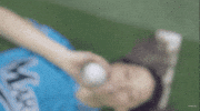 baseball sport GIF by Mitchell & Ness