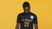Cal State La Soccer GIF by Cal State LA Golden Eagles