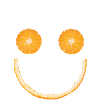 orange jeruk Sticker by NutriSari