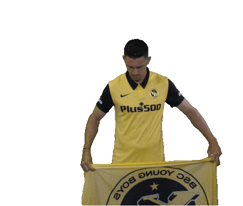 Bscyb Fassnacht Sticker by BSC Young Boys