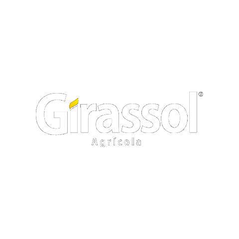 girassolagricola_ giphyupload Sticker