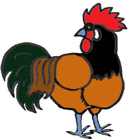 Rooster Hahn Sticker