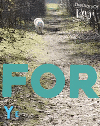 Motivation Yes GIF